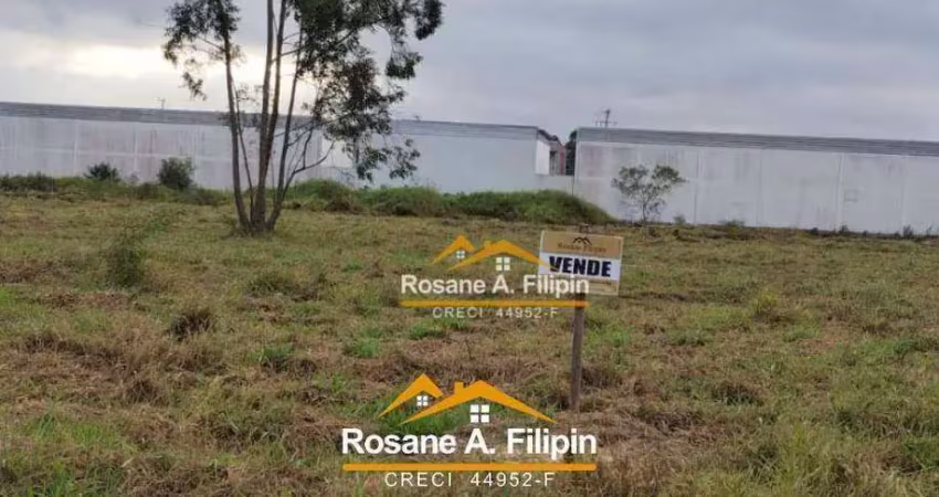 Terreno comercial à venda na Área Rural, Nova Divinéia, Araranguá