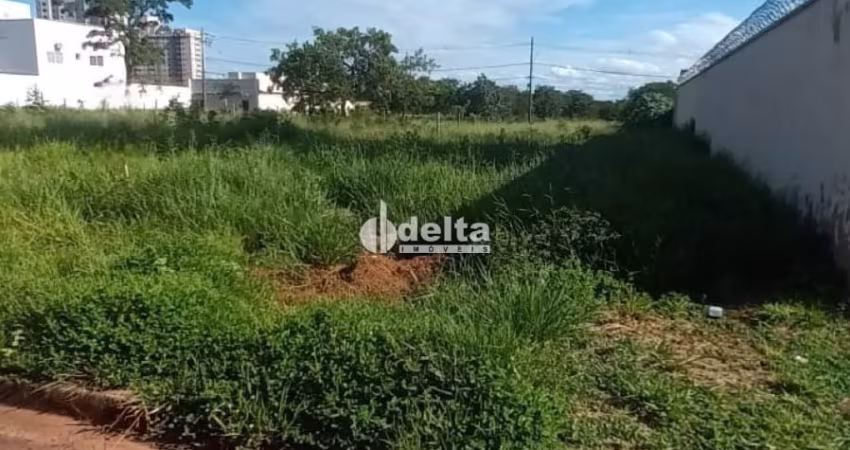 Belíssimo lote de 360m2 no Bairro Jardim Sul