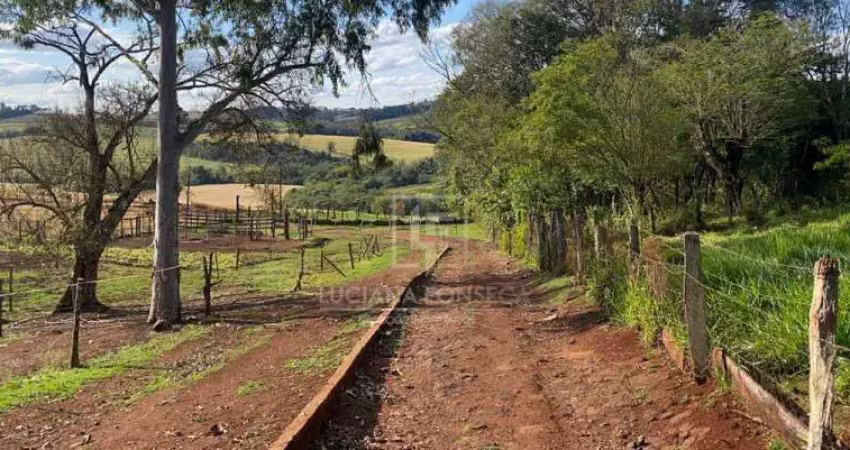 Chácara / sítio com 1 quarto à venda na Rodovia Mabio Gonçalves Palhano, 500, Património Regina, Londrina