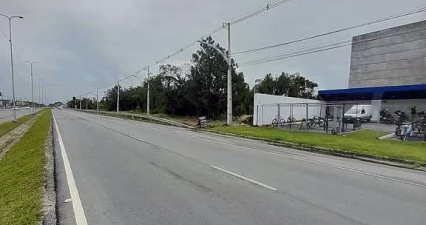 Terreno na rodovia em Praia de Leste