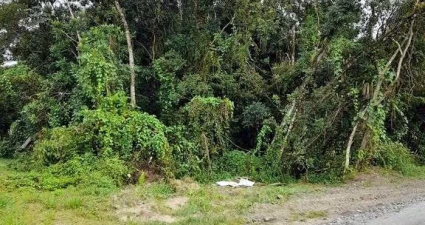 Terreno em Praia de Leste Proximo ao Bavaresco