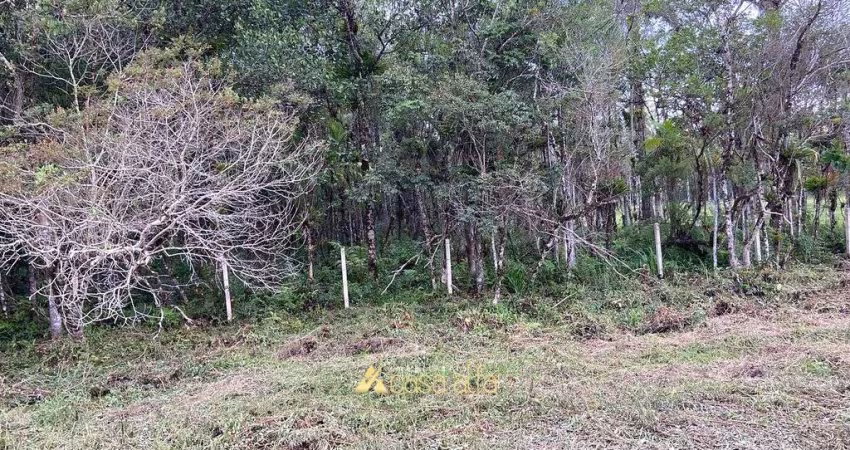Terreno proximo a PR 407