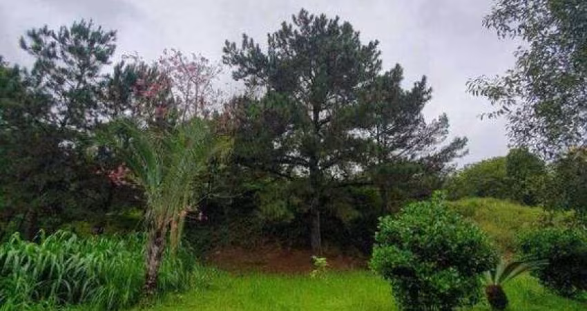 Terreno próximo a uni avan e br 101 a venda para | Estados, Balneário Camboriú, Santa Catarina