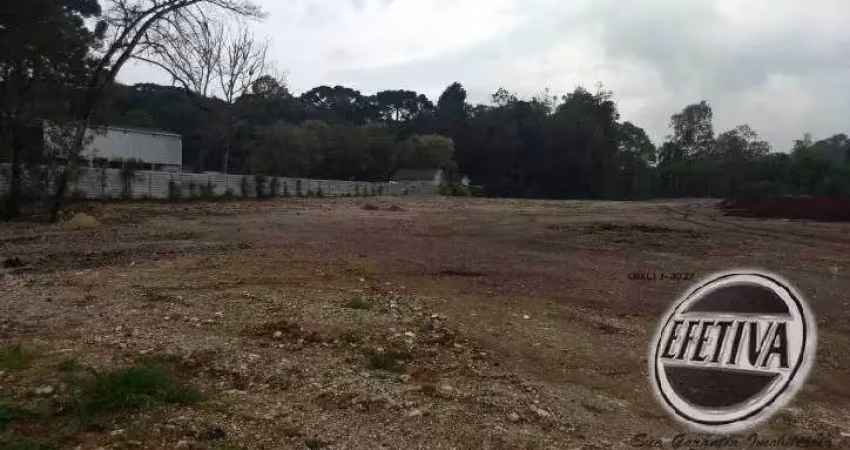Terreno comercial à venda na Rua Aviador Max Fontoura, Guaraituba, Colombo