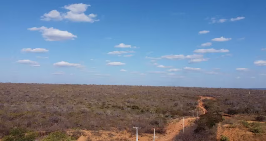 Propriedade com 412 hectares localizada na br 316, a 20 km de petrolândia