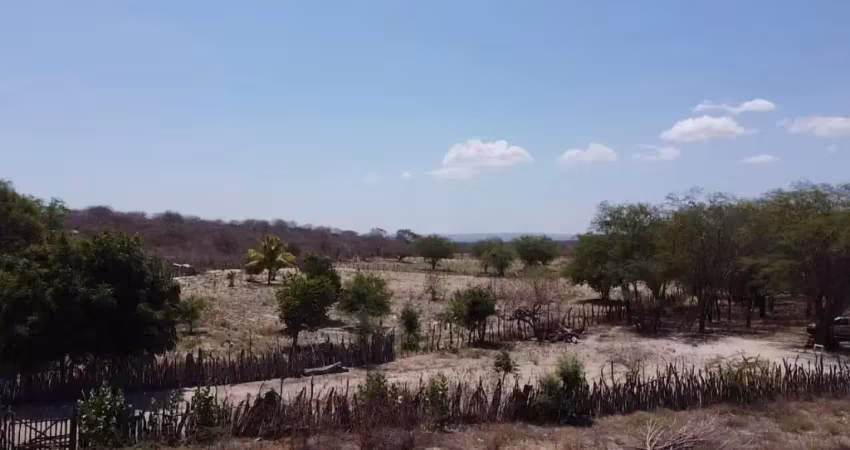 Chácara / sítio à venda na Rua Regente Feijó, sitio, Zona Rural, Petrolândia