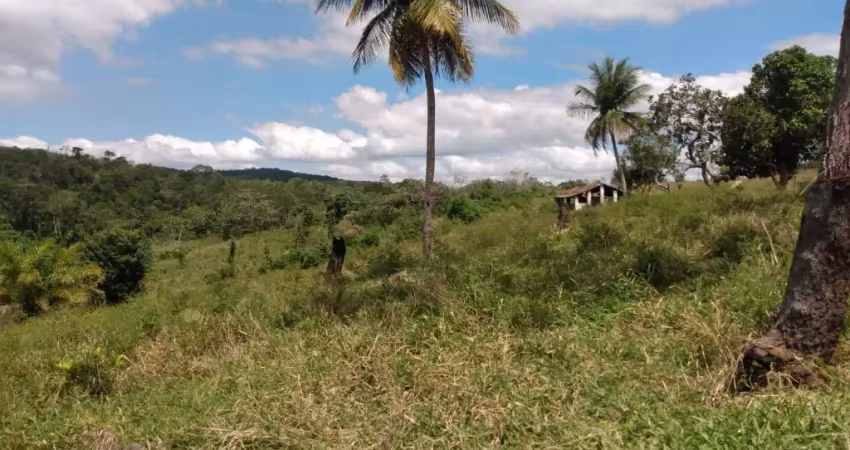 Chácara / sítio à venda na Rua João Pessoa, 1, Zona Rural, Chã de Alegria