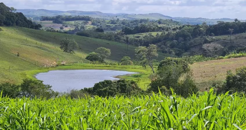Chácara / sítio à venda na Rua Doutor Manoel Borba, 9, Zona Rural, Quipapá