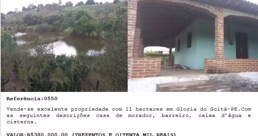 Vende-se excelente propriedade com 11 hectares em glória do goitá-pe.