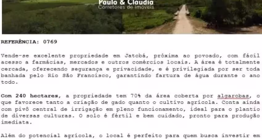 Vende-se excelente propriedade em Jatobá