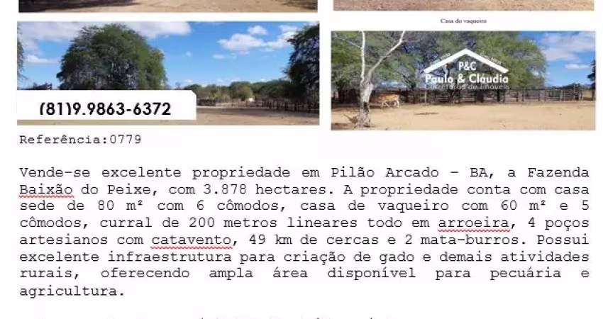 Vende-se excelente propriedade em pilão arcado – ba