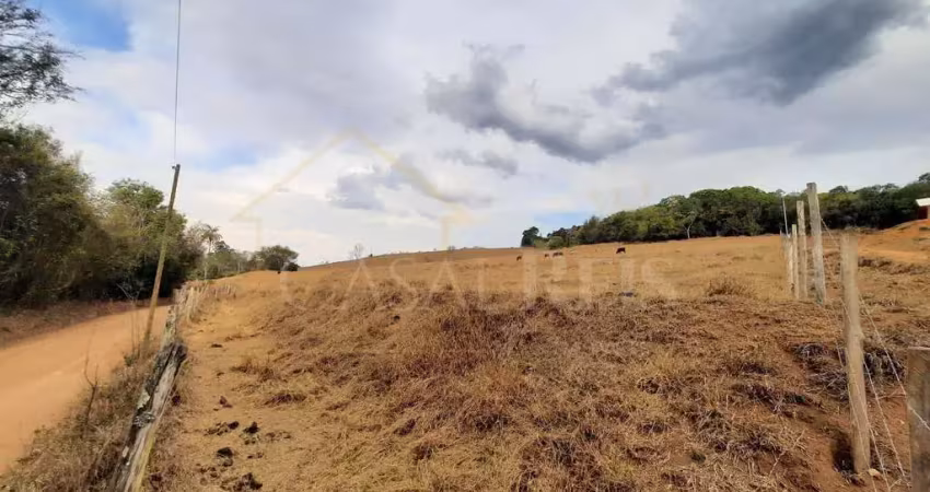 Terreno à venda no Correias, Bandeira do Sul 