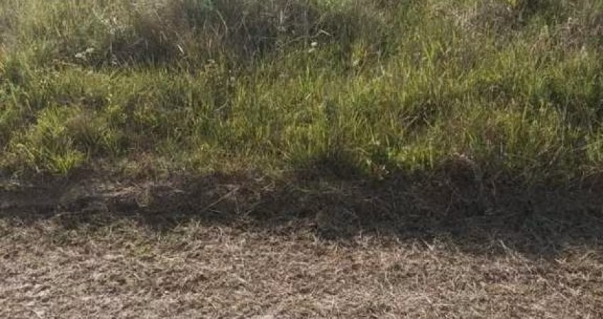 Terreno à venda no Bairro Curumim com 360 m² de área privativa