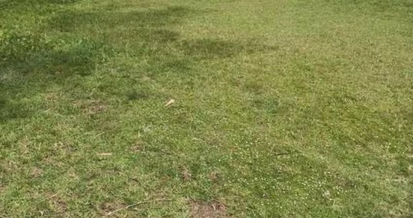 Terreno à venda no Bairro Curumim com 420 m² de área privativa