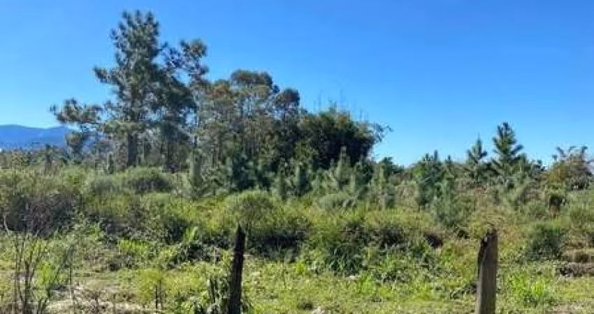 Terreno à venda no Centro, Terra de Areia 