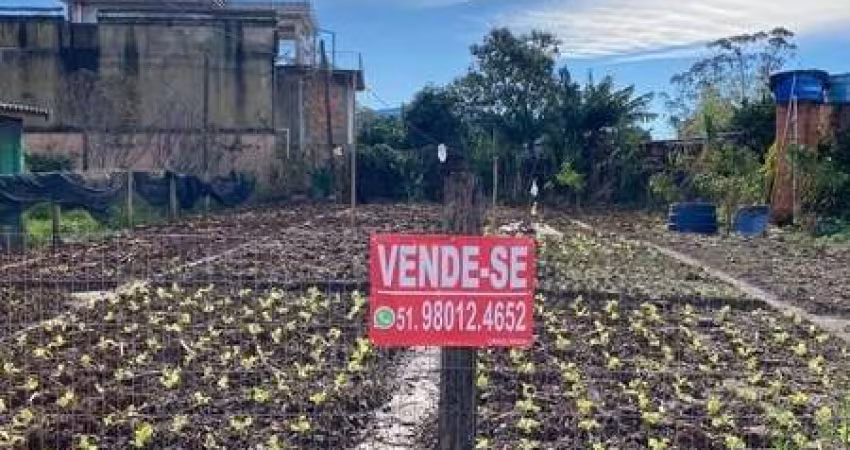 LOTE EM TERRA DE AREIA ÓTIMO INVESTIMENTO