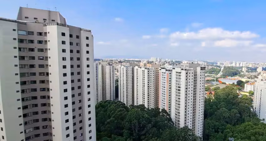 Apartamento com vista livre para a mata, condomínio pitangueira