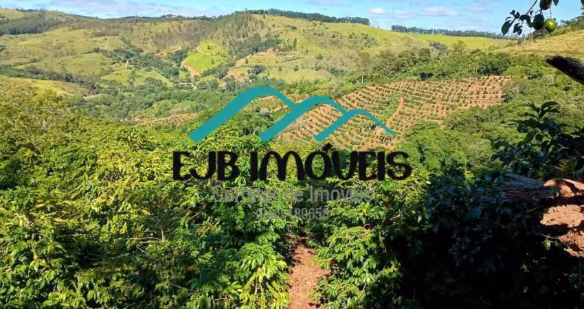 Fazenda à venda no Centro, Serra Negra 