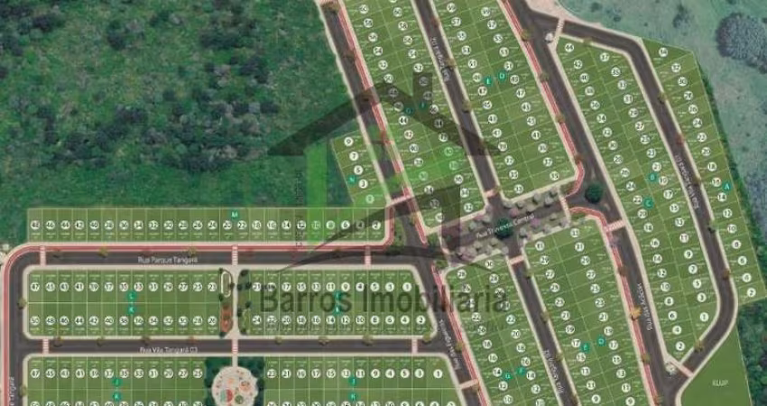 VIVEJO TANGARÁ: O SEU NOVO CAPÍTULO EM BRASÍLIA COMEÇA AQUI! ???
