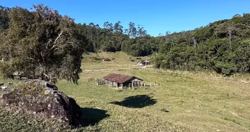 Chácara / sítio com 1 quarto à venda na Área Rural, Área Rural de Biguaçu, Biguaçu