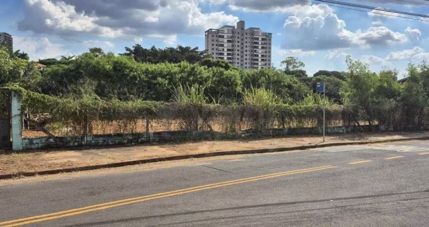 Terreno à venda na Rua Doutor João Alves dos Santos, 1041, Jardim das Paineiras, Campinas