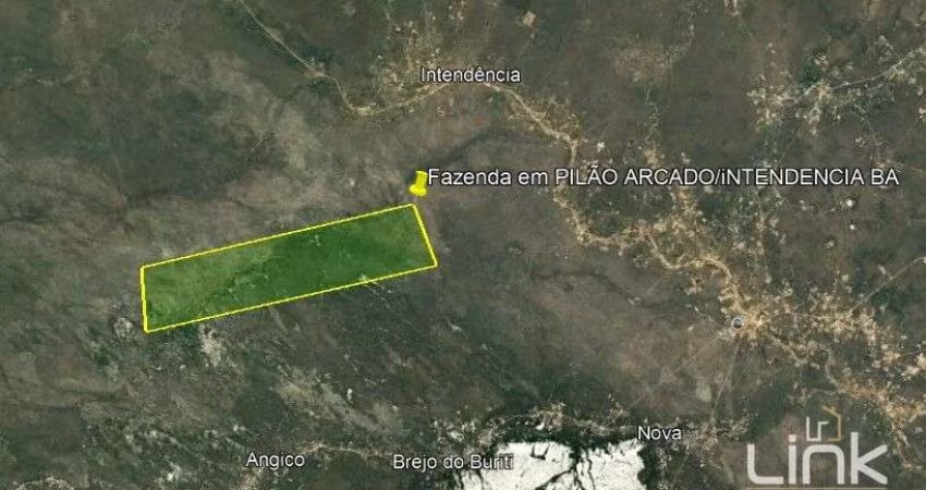 Fazenda à venda na Zona Rural, Pilão Arcado 