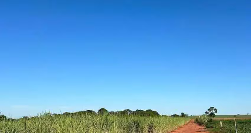Fazenda à venda na Área Rural de Barretos, Barretos 