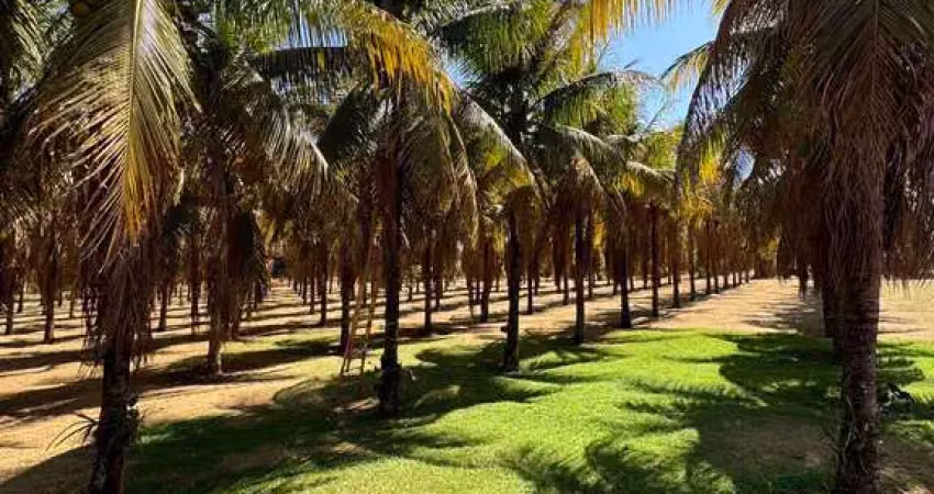 Chácara / sítio com 3 quartos à venda no Monte Alegre, Barretos 
