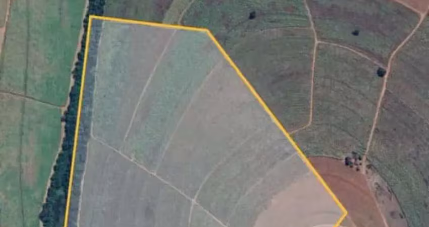 Fazenda à venda na Zona Rural, Palmares Paulista 