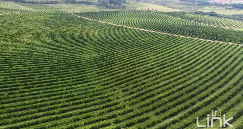 Fazenda de Citrus à Venda