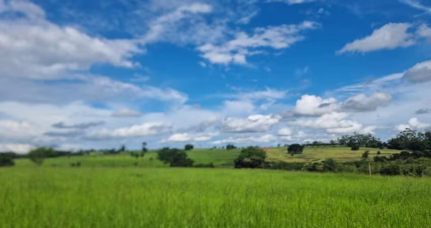 Fazenda Pecuária à Venda