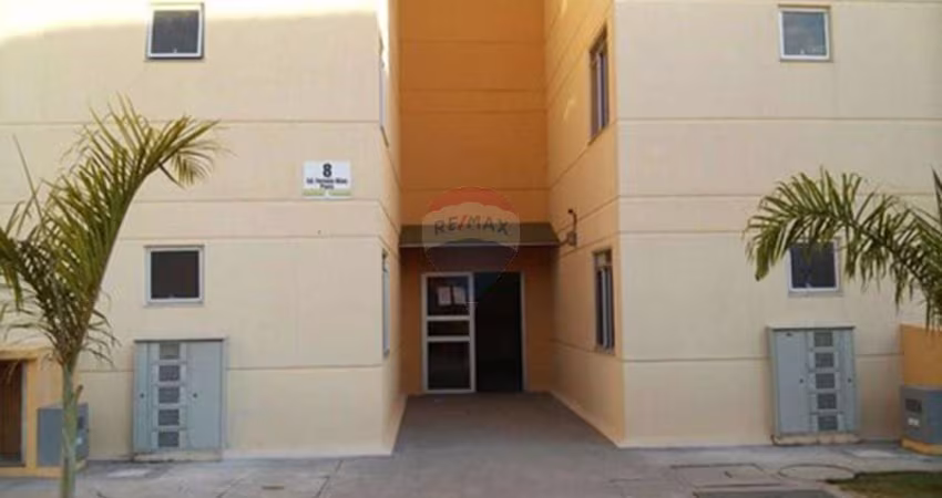 Seu Novo Lar: Apartamento Jardim Tatiana, SP