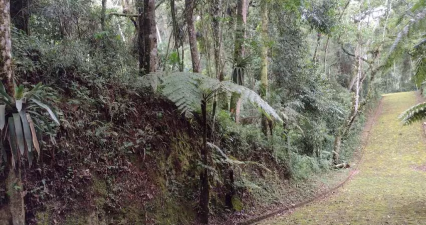 Terreno à venda no Quebra Frascos, Teresópolis 