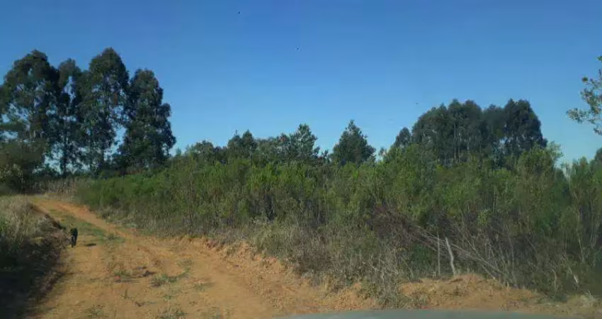 Excelente chacara com 36.300 m2 campestre tijucas 170.000