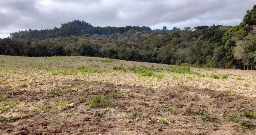 EXCELENTE CHACARA COM 35,000 M2 ROÇA VELHA 700,000,00