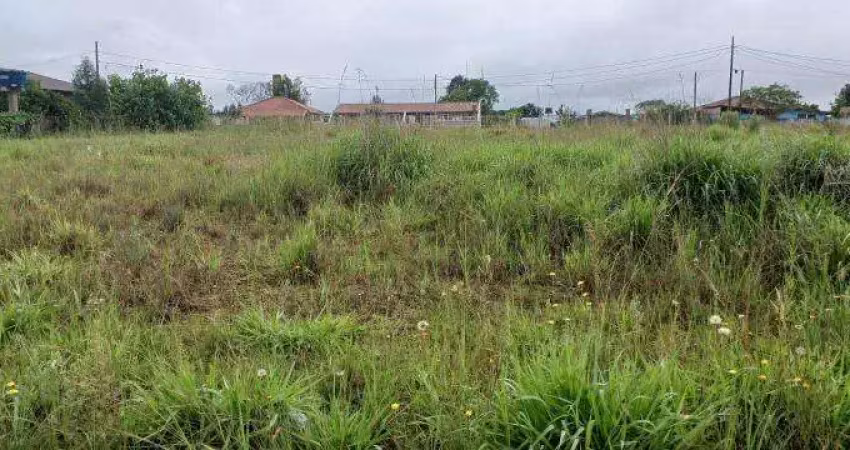 Excelente chacara sem benfeiturias 2.000 m2 campo l.da roseira 330.000,00