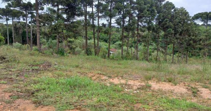 EXCENTE CHACARA COM 5.000 M2 SEM BENFEITURIAS 330.000 CAMPO LARGO DA ROSEIRA