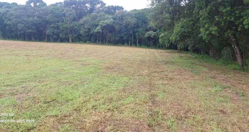 Chácara / sítio à venda na Praça Padre Francisco Proft, Contenda, São José dos Pinhais