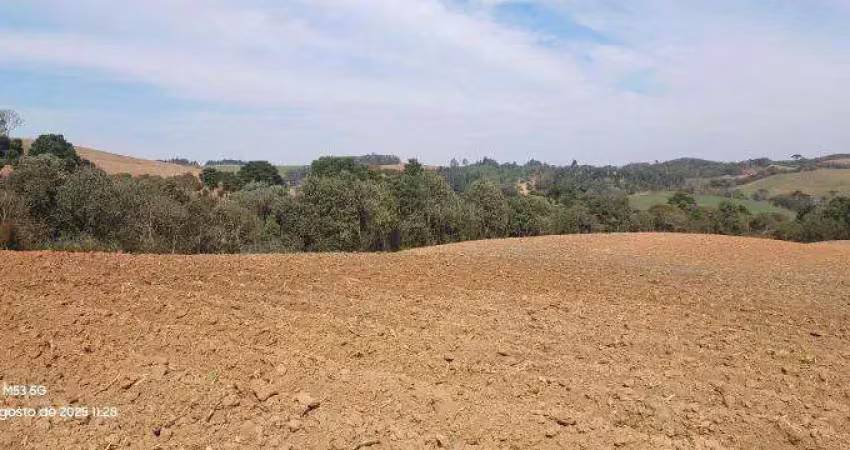 Chácara / sítio à venda na AVENIDA PRINCIPAL XIMBUVA, Zona Rural, Campo Alegre