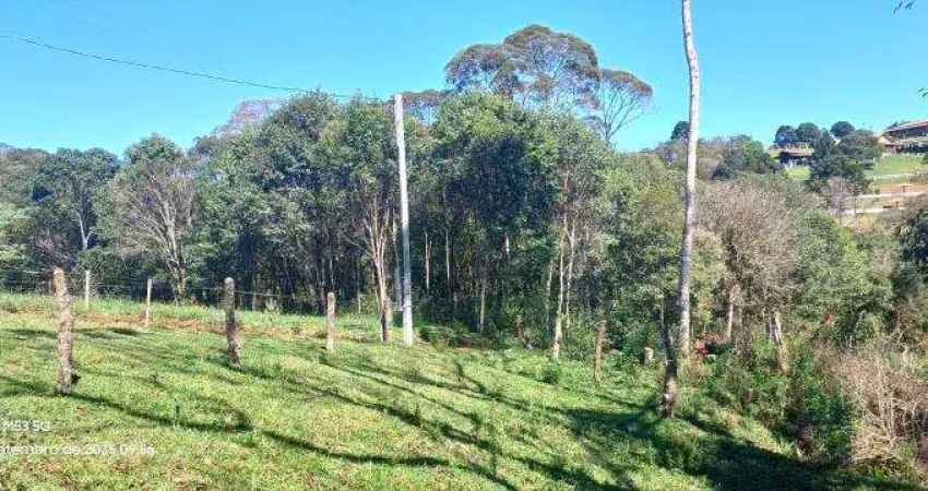 Excelente chacara com 1500 m2 roça velha sao jose dos pinhais  130.000