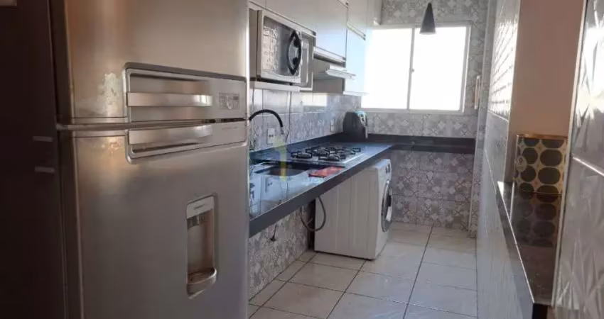 Apartamento com 3 quartos para alugar no Jardim Gibertoni, São Carlos 