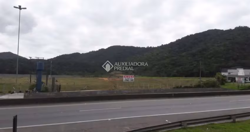 Terreno comercial para alugar na Rodovia BR-101, 126, Estados, Balneário Camboriú