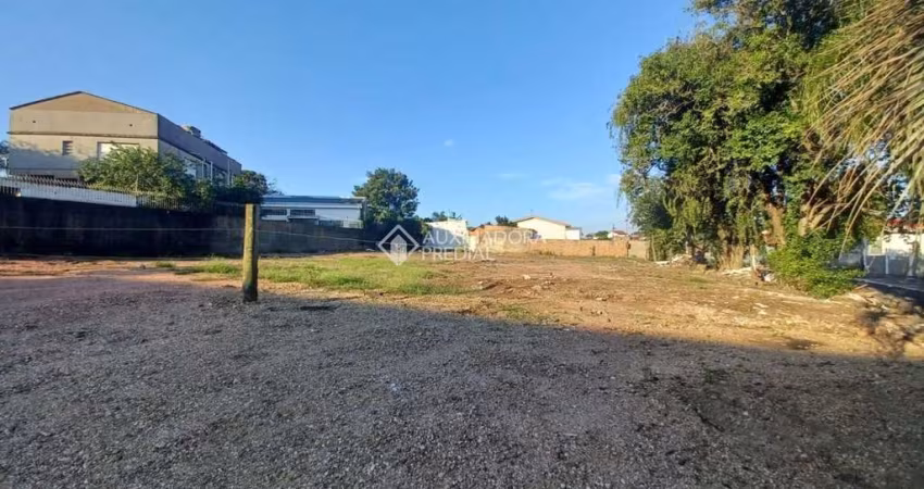 Terreno comercial para alugar na Apá, 44, Igara, Canoas