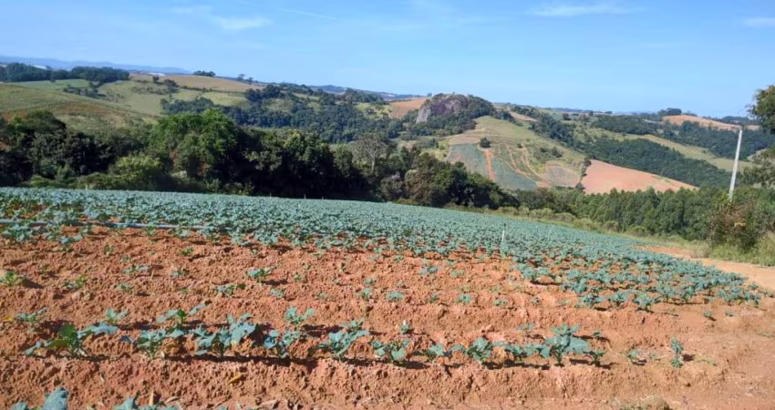 SÍTIO COM 4 ALQUEIRES EM SENADOR AMARAL MG.