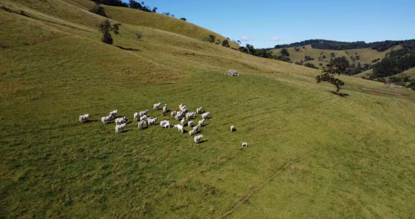 FAZENDA COM 100 ALQUEIRES EM CAMANDUCÁIA MG.