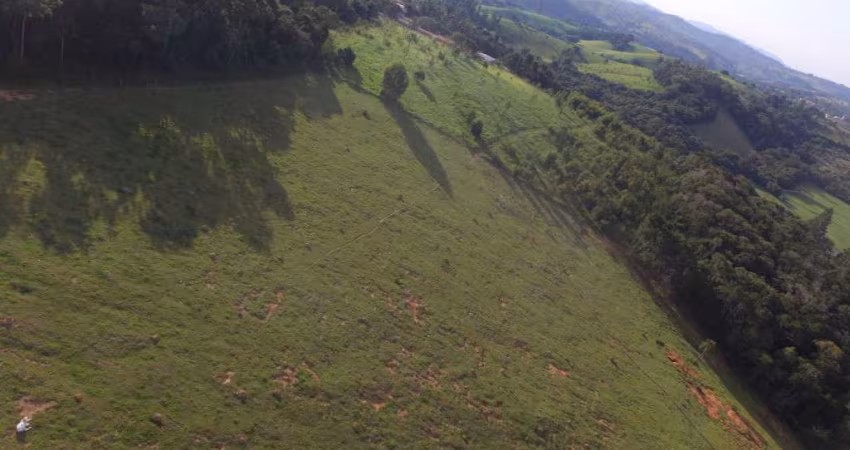 ÁREA COM 35.000 M2- COM PASTO FORMADO EM PINHALZINHO SP.