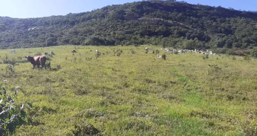 Chácara / sítio com 3 quartos à venda na Área Rural, 0000, Centro, Pouso Alegre