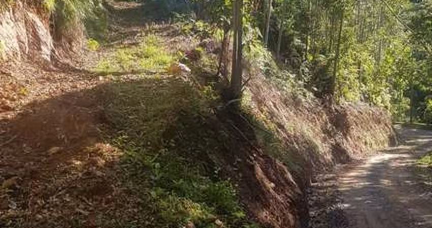 Terreno com 21000 m² para sítio em Botuvera com mais de 4 mil pés de Eucalipto