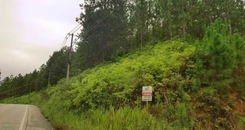 Terreno com 63.500 m² otima oportunidade para empresas, sitios, terreno registrado e escriturado