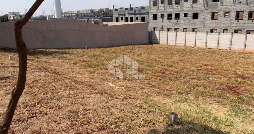 vende terrano bairro Santa Marta